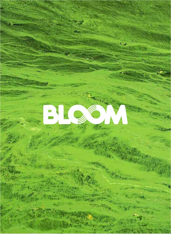 <b>CLEAN RIVERS & LAKES EVERY STEP OF THE WAY </b>- BOGS is partnering with BLOOM to integrate algae-based EVA footbeds across our entire line. These replace the petroleum-based plastic foam found in most  boots and athletic shoes. BLOOM has their own mission, which we’re excited to be a part of: cleaner air and lakes, rivers, and streams.